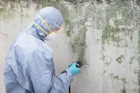 Best Asbestos and Lead Testing During Mold Inspection  in Bethlehem, PA